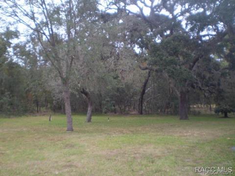 1275 W Redding St, Hernando, FL 34442 photo 33