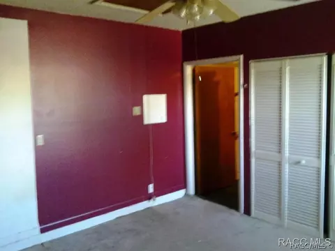 4238 Lee Rd, Spring Hill, FL 34608 photo 6