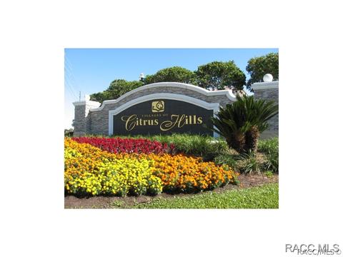 781 E Dakota Ct, Hernando, FL 34442 photo 26