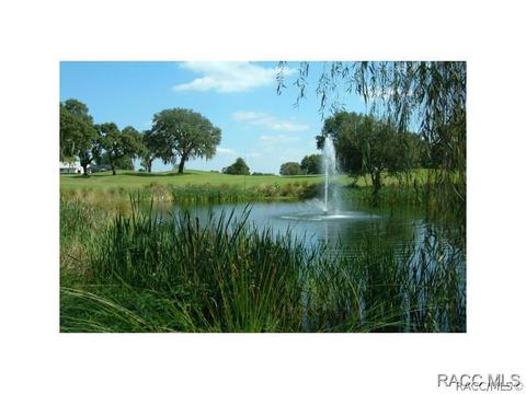781 E Dakota Ct, Hernando, FL 34442 photo 29
