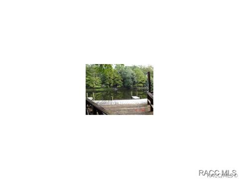 1920 E Delaware Ct, Dunnellon, FL 34434 photo 3