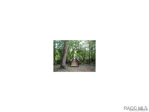 1920 E Delaware Ct, Dunnellon, FL 34434 photo 2