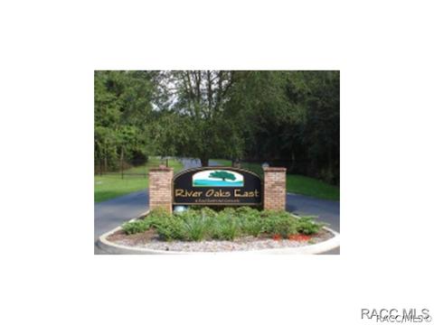1920 E Delaware Ct, Dunnellon, FL 34434 photo 1