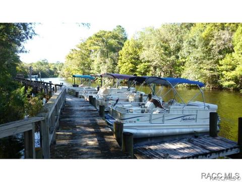 1920 E Delaware Ct, Dunnellon, FL 34434 photo 4