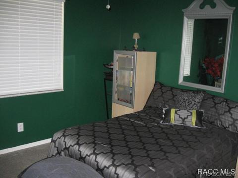 611 E Reehill St, Lecanto, FL 34461 photo 21