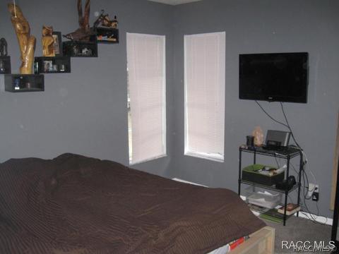 611 E Reehill St, Lecanto, FL 34461 photo 22