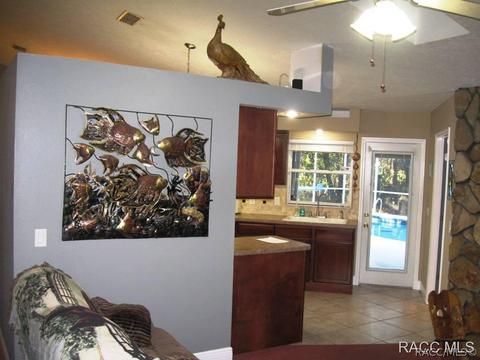 611 E Reehill St, Lecanto, FL 34461 photo 11