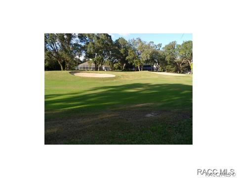 191 E Keller Ct, Hernando, FL 34442 photo 5