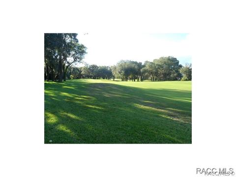 191 E Keller Ct, Hernando, FL 34442 photo 4