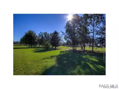 1278 W Double Eagle, Hernando, FL 34442 photo 24