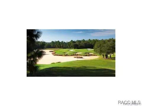 1278 W Double Eagle, Hernando, FL 34442 photo 34