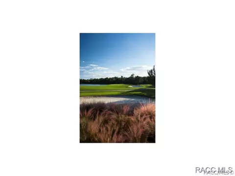 1278 W Double Eagle, Hernando, FL 34442 photo 33