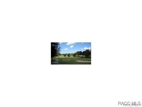 474 N Grandview Ave, Hernando, FL 34442 photo 24