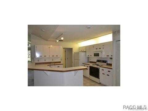 474 N Grandview Ave, Hernando, FL 34442 photo 5