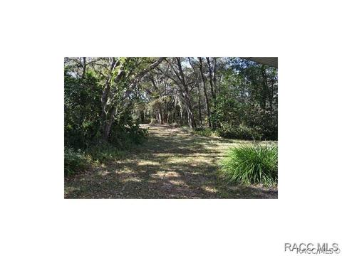 474 N Grandview Ave, Hernando, FL 34442 photo 23