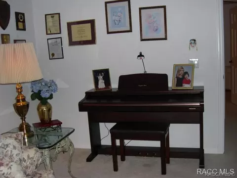 3914 E Lake Hernando Ln, Hernando, FL 34442 photo 19