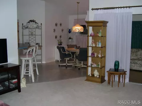 3914 E Lake Hernando Ln, Hernando, FL 34442 photo 5
