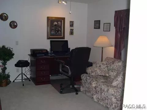 3914 E Lake Hernando Ln, Hernando, FL 34442 photo 18