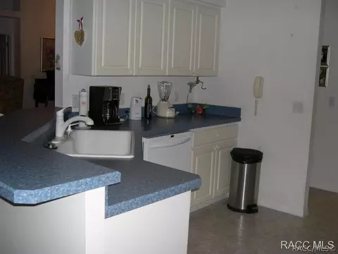 3914 E Lake Hernando Ln, Hernando, FL 34442 photo 7