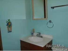 4170 E Lake Park Dr, Hernando, FL 34442 photo 17