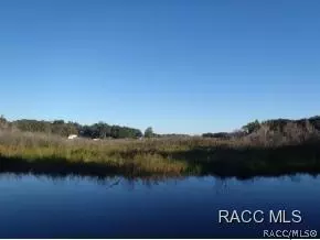 4170 E Lake Park Dr, Hernando, FL 34442 photo 29