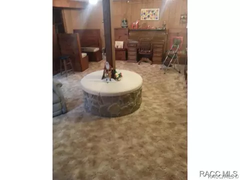 4675 N Kenilworth Ter, Hernando, FL 34442 photo 23
