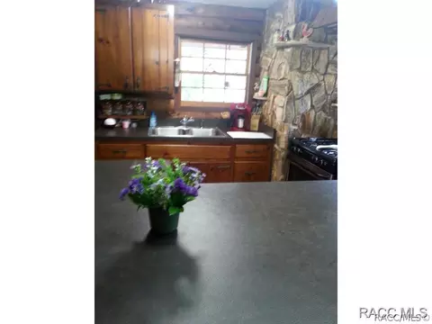 4675 N Kenilworth Ter, Hernando, FL 34442 photo 19