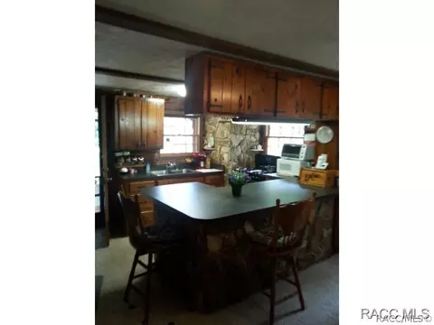 4675 N Kenilworth Ter, Hernando, FL 34442 photo 18
