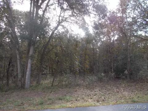 450 E Knightsbridge Pl, Lecanto, FL 34460 photo 1