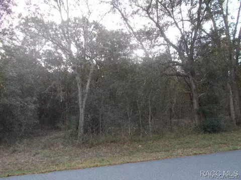 450 E Knightsbridge Pl, Lecanto, FL 34460 photo 2