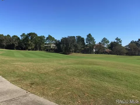 3950 N Grayhawk Loop, Lecanto, FL 34461 photo 1