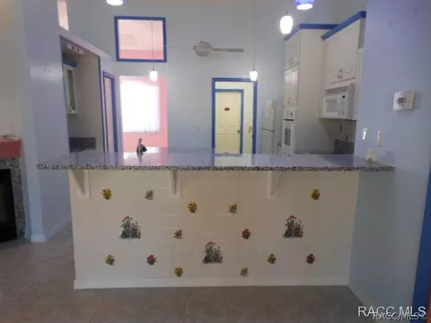 609 E Liberty St, Hernando, FL 34442 photo 11
