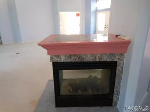 609 E Liberty St, Hernando, FL 34442 photo 29