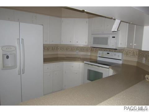 349 N Turkey Pine Loop, Lecanto, FL 34461 photo 6