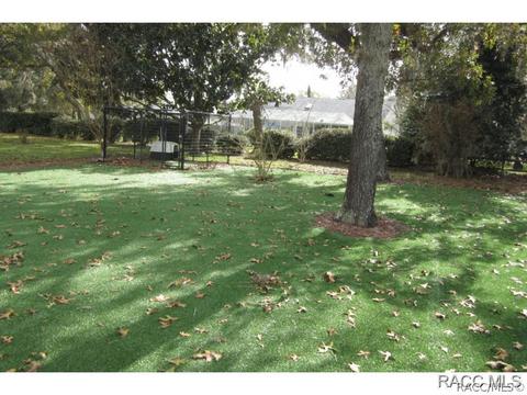 349 N Turkey Pine Loop, Lecanto, FL 34461 photo 27