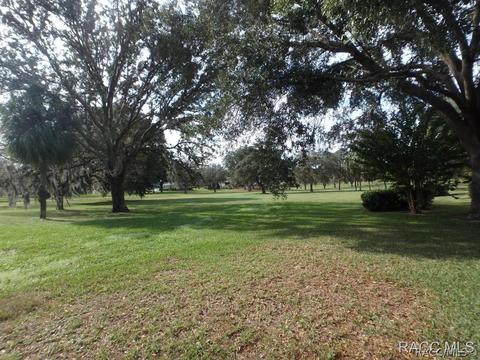 724 E Falconry Ct, Hernando, FL 34442 photo 22