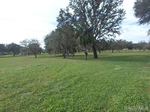 724 E Falconry Ct, Hernando, FL 34442 photo 21