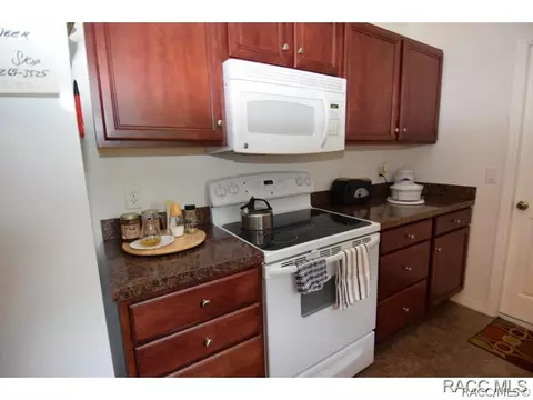 1413 E Lasalle St, Hernando, FL 34442 photo 5