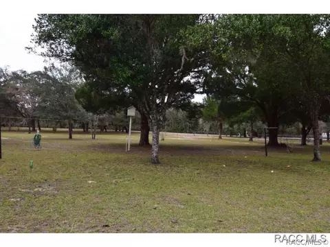 1413 E Lasalle St, Hernando, FL 34442 photo 16