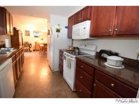 1413 E Lasalle St, Hernando, FL 34442 photo 3