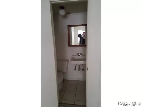 6520 N Iris Dr, Hernando, FL 34442 photo 6