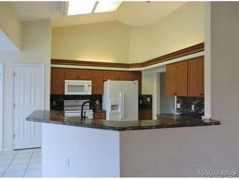 287 E Brandon St, Hernando, FL 34442 photo 12