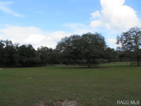 287 E Brandon St, Hernando, FL 34442 photo 33