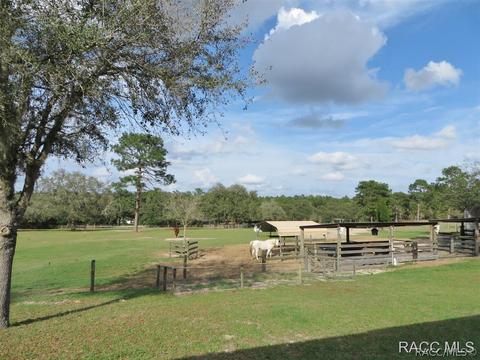 287 E Brandon St, Hernando, FL 34442 photo 18