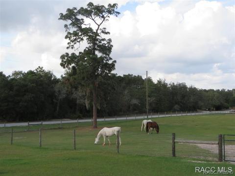 287 E Brandon St, Hernando, FL 34442 photo 2