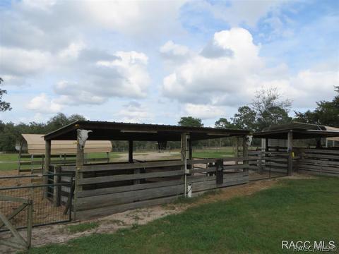 287 E Brandon St, Hernando, FL 34442 photo 5