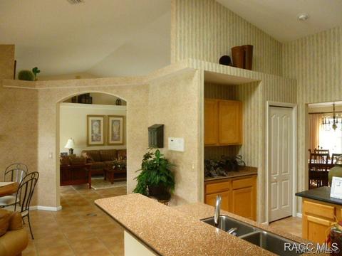 1608 E Gate Dancer Cir, Inverness, FL 34453 photo 19
