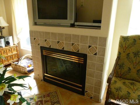 1608 E Gate Dancer Cir, Inverness, FL 34453 photo 27
