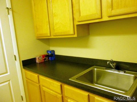 1608 E Gate Dancer Cir, Inverness, FL 34453 photo 25