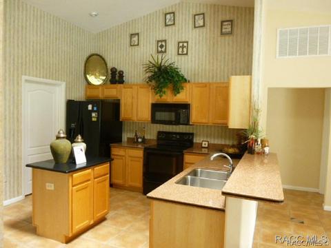 1608 E Gate Dancer Cir, Inverness, FL 34453 photo 5
